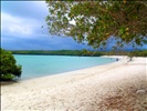 azure beach in the Galapagos  .. full of manta rays